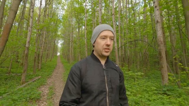 Петров крест. Почему растение не зеленое. Рассказ о нем. В лесу смотреть онлайн