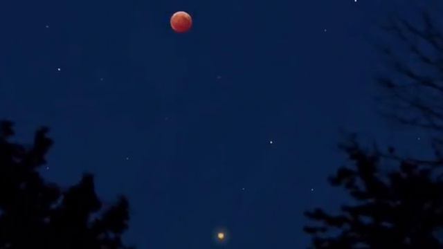 Затмение смотреть онлайн