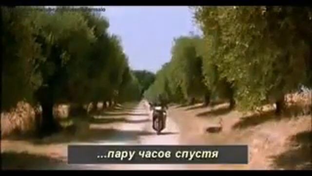 Как узнать Время в поле смотреть онлайн