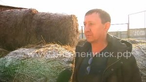 Профилактические мероприятия по ликвидации ящура