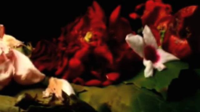 Deviations Project - The Ivory Bow смотреть онлайн