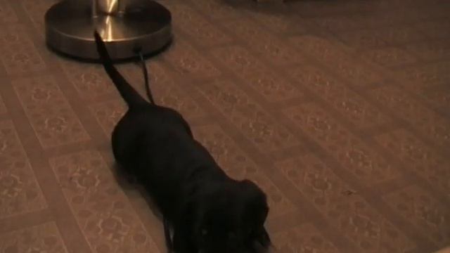 Валера и Лиля + Семья. 2006-2007 г.г. Part 1