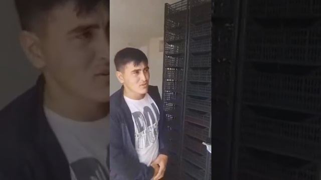 Оқ Урик Оламиз.