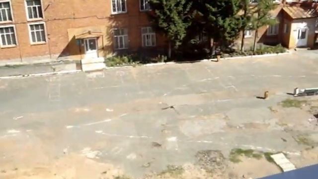 Выкормленный стриж улетает на волю!!! смотреть онлайн