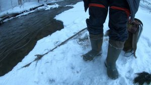 Ловля хариуса на личинку веснянки.