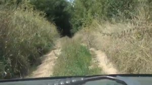 Погибшая деревня. Курская область.