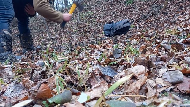 ПОХОД В ЛЕС..ПРОВЕРИТЬ НАШИ ЛОВУШКИ) смотреть онлайн