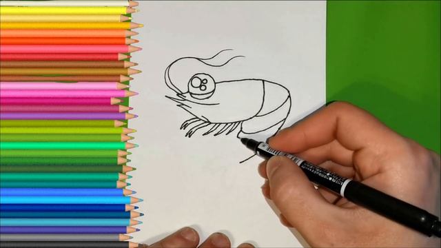 Bolalar uchun qisqichbaqalar chizishРисуем креветку для детейWe draw a shrimp for children