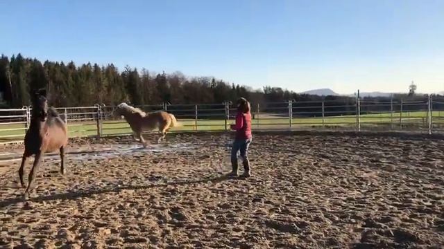 Connection Game смотреть онлайн