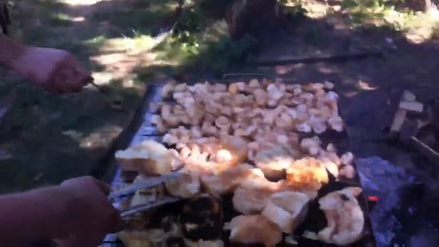 Čimprti u sosu i dimprti u saftu u mješalici смотреть онлайн