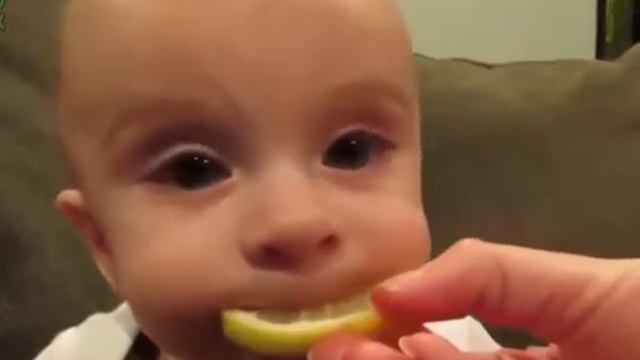 О лимоне. Детали. смотреть онлайн