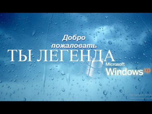 Обзор Windows XP Zver