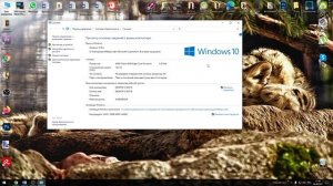 Как узнать разрядность системы компьютера? 32 или 64 бит