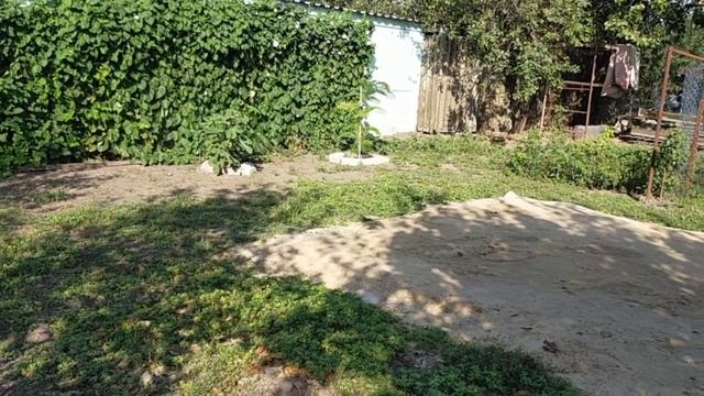 #461ПОСЛЕДНИЕ ЖАРКИЕ ДНИ ЛЕТА/ЖИЗНЬ НА ЮГЕ