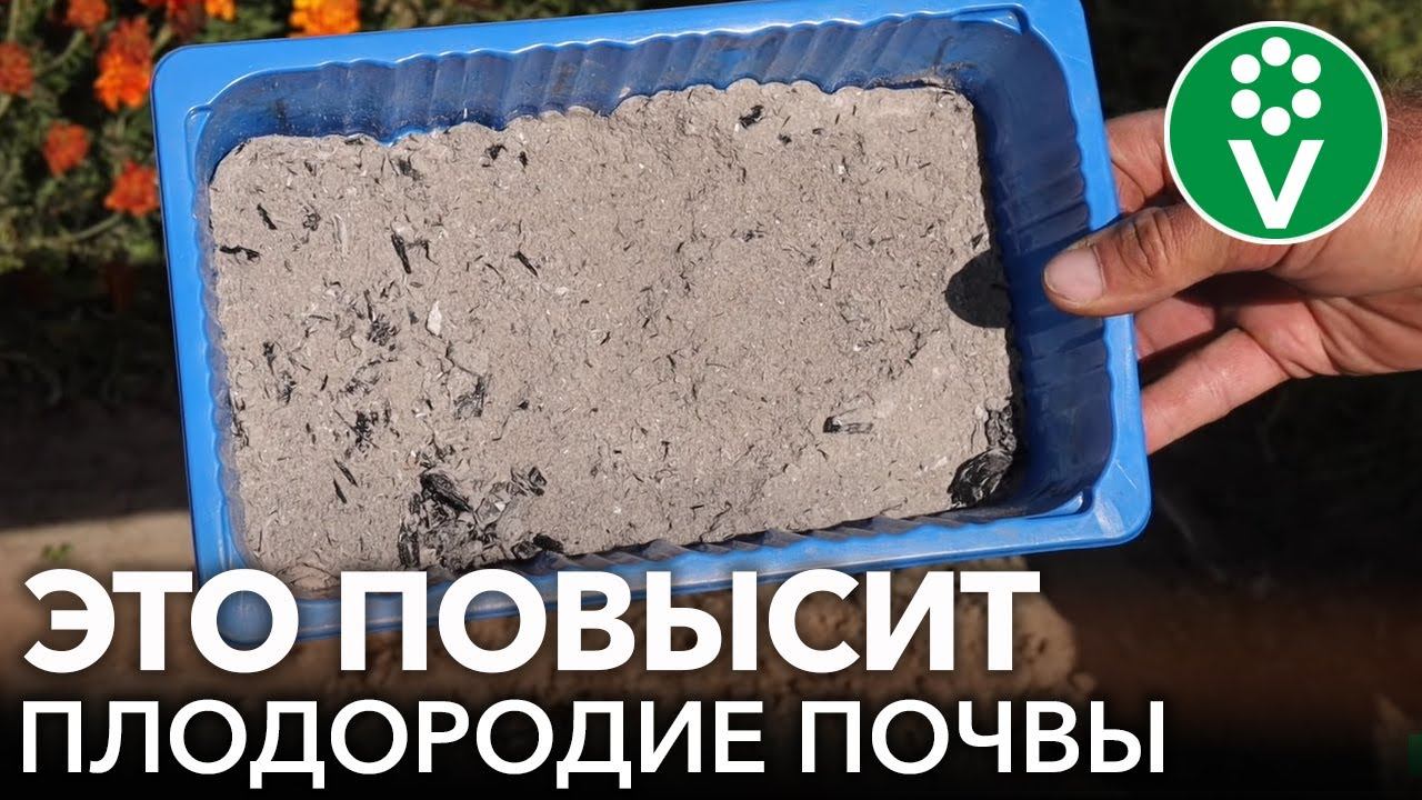 4 ОТЛИЧНЫХ СПОСОБА СДЕЛАТЬ ПОЧВУ ПУШИСТОЙ И ПЛОДОРОДНОЙ! смотреть онлайн