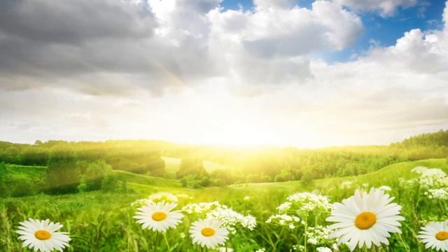 Как снять тяжелый камень с души. Елена Ушанков. Коучинг "Ваш Новый Сценарий Жизни " смотреть онлайн