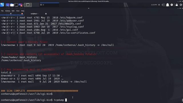 CGI-BIN abuse | Traffic Analysis | Python 2.7 bad lib | #Desafio02 Beco do Exploit #VM16 - Symfonos смотреть онлайн