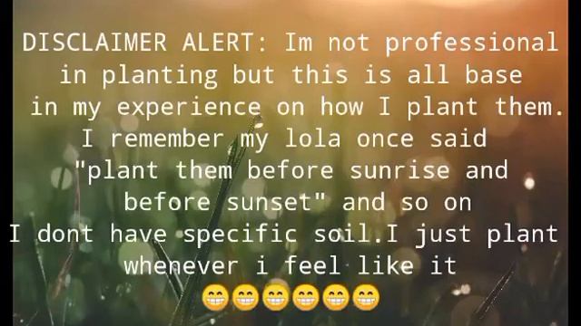 AGLAONEMA | SILVER BAY | PROPAGATION PROCESS | Big Plant Mom смотреть онлайн