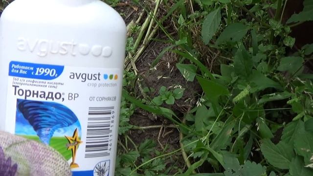 Сорняки в августе, долой с гряд! смотреть онлайн