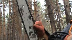 Как подтянуть цепь на бензопиле STIHL