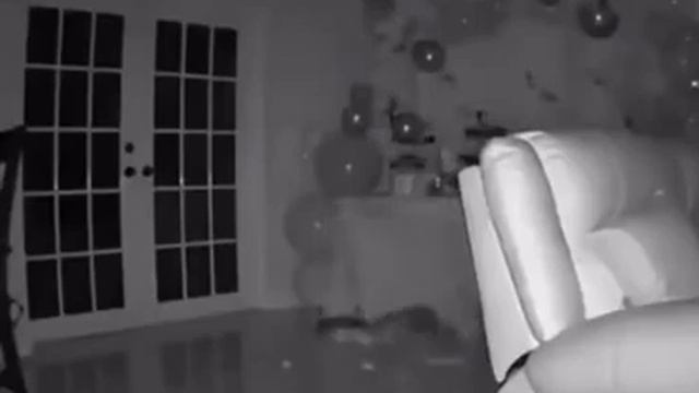 Кот зацепился за скатерть стола? смотреть онлайн