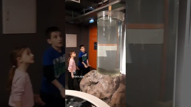 МУЗЕЙ ЭКСПЕРЕМЕНТАРИУМ смотреть онлайн