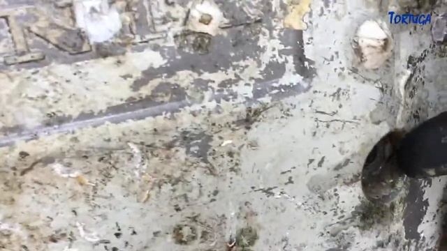 Mid Season Maintenance Part 1 - Bayliner 2556 - Tortuga