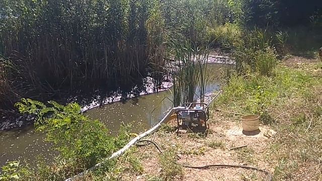 Мотопомпа Секвоя, запуск №2 смотреть онлайн