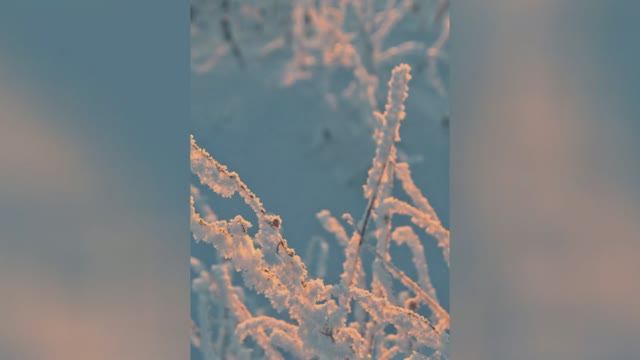 река Пехорка.mp4 смотреть онлайн
