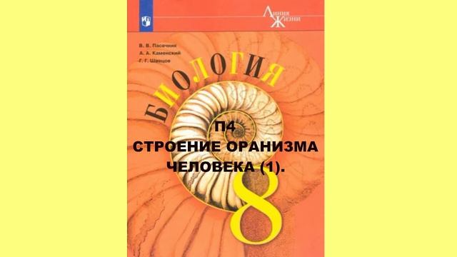 П4 СТРОЕНИЕ ОРАНИЗМА ЧЕЛОВЕКА (1). БИОЛОГИЯ 8 КЛАСС, АУДИОУЧЕБНИК, СЛУШАТЬ ОНЛАЙН, ШКОЛА РОССИИ смотреть онлайн