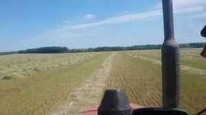 Грабли-ворошилки ГВР-630 в работе