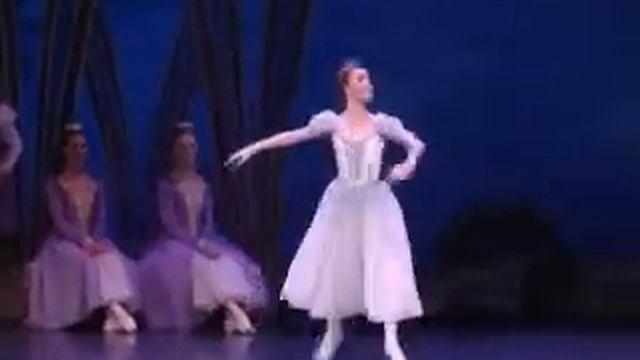 труа вариация.avi смотреть онлайн