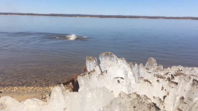 Завтра вода будет теплее.. наверное, но и сегодня уже - ничего.. смотреть онлайн