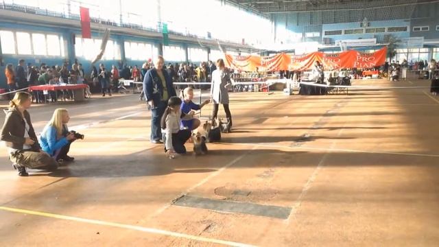 выставка в Минске смотреть онлайн