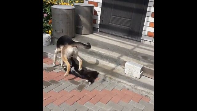 Водяные теплые полы ДЕНЬ 8 Установка труб к газовому котлу Делаем в стене отверстие для труб смотреть онлайн