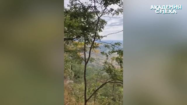 ПОПРОБУЙ НЕ ЗАСМЕЯТЬСЯ, 99.9% ПРОИГРАЮТ 6 МИНУТ СМЕХА смотреть онлайн