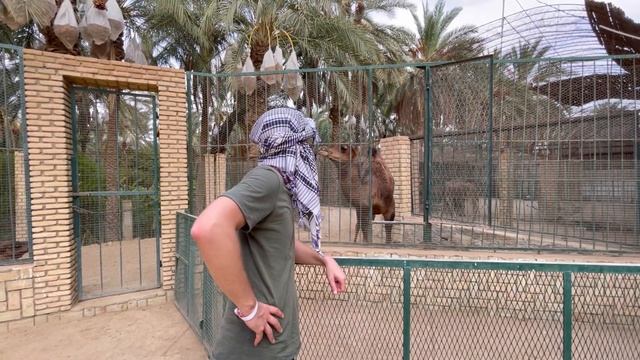 оазис в Сахаре куда едут финики из Туниса Женщины Вьетнам срок за нарушение самоизоляции #ILook смотреть онлайн