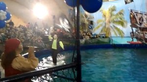 1 часть дельфинарий Самара