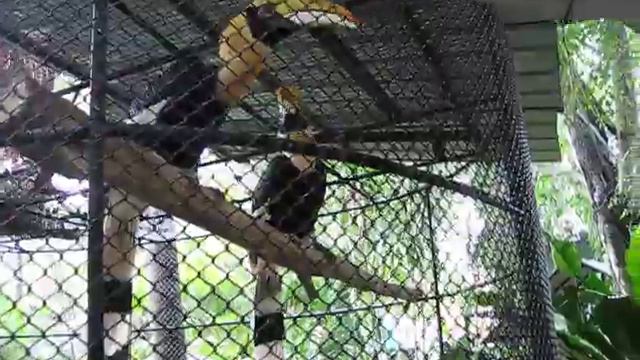 MVI 3332 смотреть онлайн