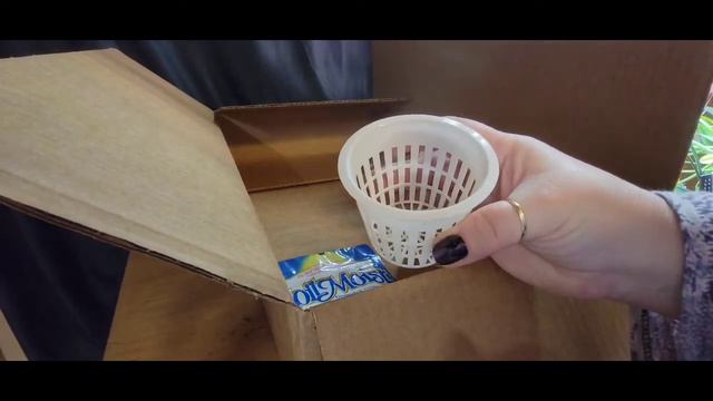 Sponsor Orchid Supply Store unboxing! lot's of goodies! смотреть онлайн