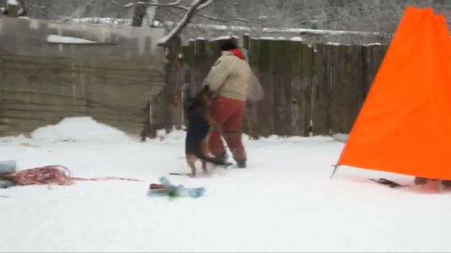 Русский Ринг. Большой русский ринг смотреть онлайн