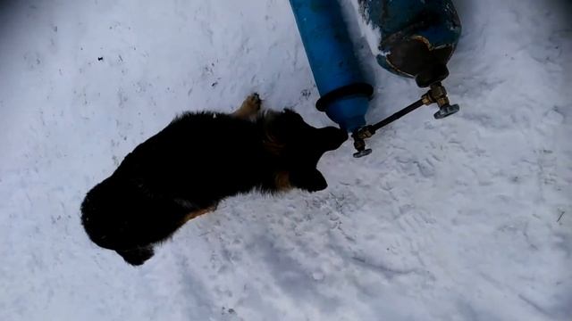 перекачка кислорода в дома смотреть онлайн