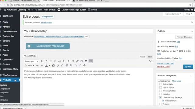How to Make a Coaching Website смотреть онлайн
