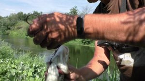 Монстр согнул удочку в дугу! Рыбалка на поплавок и копчение рыбы.