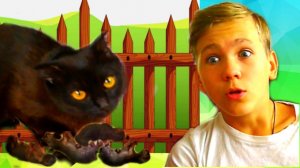 НУ и ДЕЛА! Никиска родила КОТЯТ во Дворе под КУСТОМ!