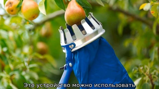 Плодосъемник смотреть онлайн