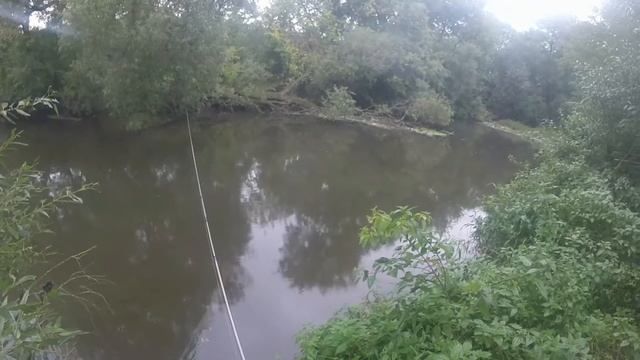 Ловля на джиг р.Пахра сентябрь смотреть онлайн