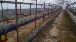 Первые весенние работы на клубнике.обработка почвы превикуром.по листу фундазолом и актеликом