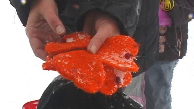 Зачем продавали «валентинки» в Москве? Репортаж из столицы смотреть онлайн