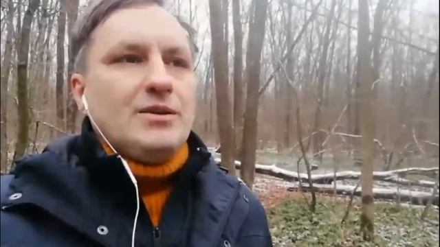 Что лучше: натуралка или сухой корм для кошки смотреть онлайн